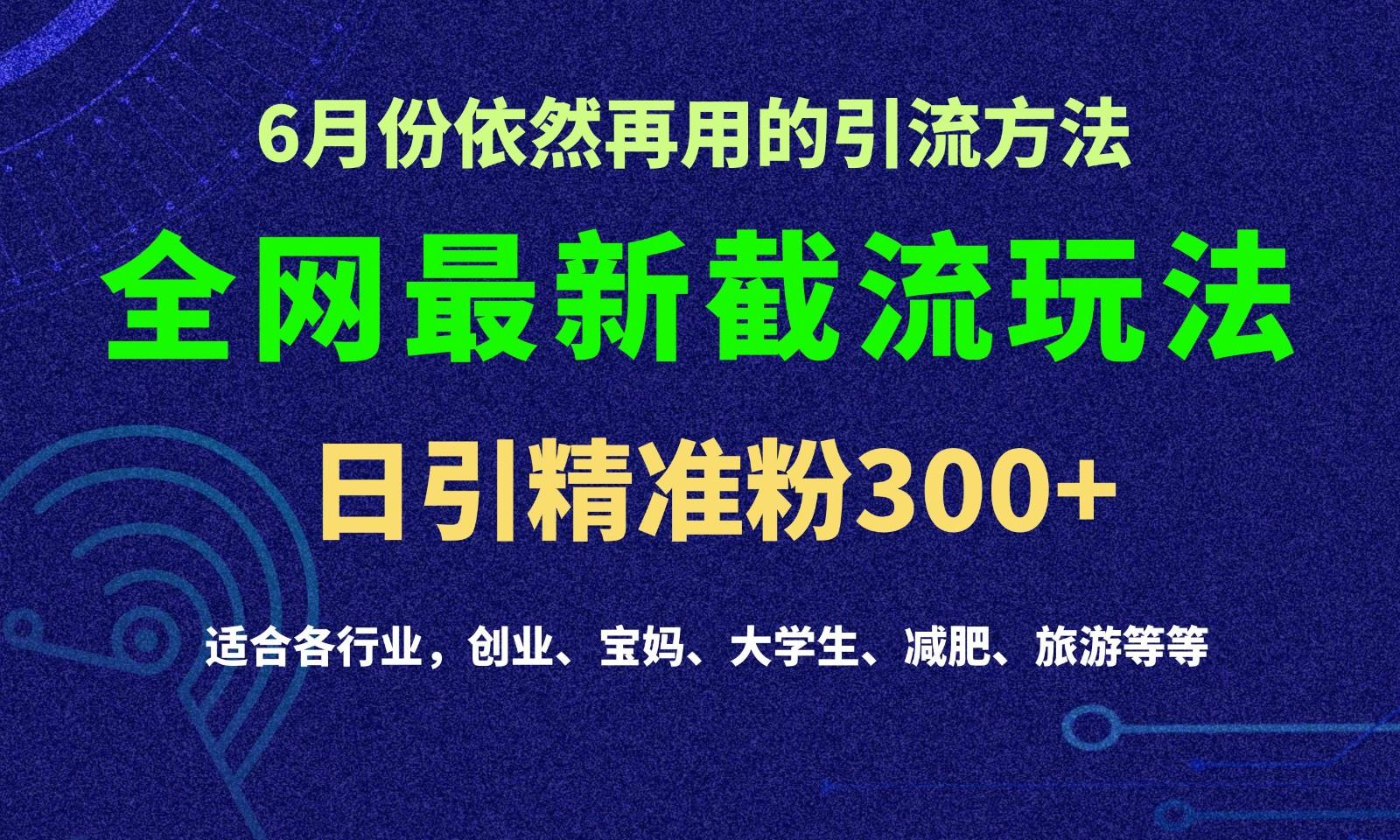2024全网最新截留玩法，每日引流突破300+-铜臭网