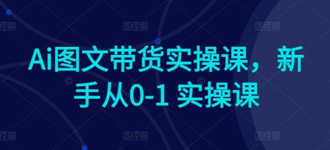 Ai图文带货实操课，新手从0-1 实操课-铜臭网
