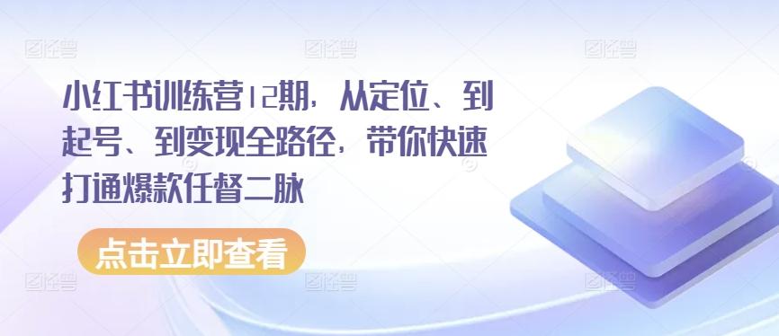小红书训练营12期，从定位、到起号、到变现全路径，带你快速打通爆款任督二脉-铜臭网