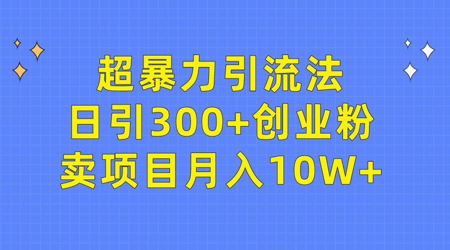 (9954期)超暴力引流法，日引300+创业粉，卖项目月入10W+-铜臭网