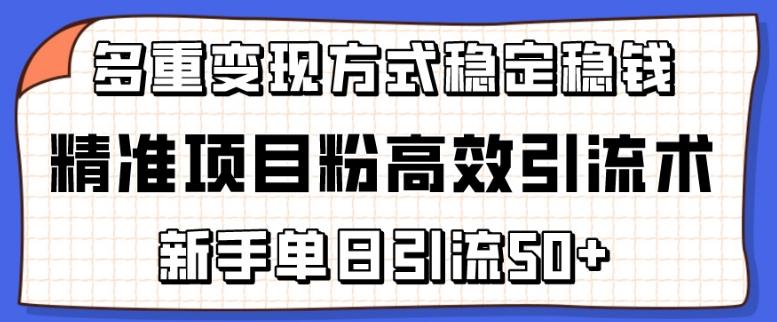 精准项目粉高效引流术，新手单日引流50+，多重变现方式稳定赚钱【揭秘】-铜臭网