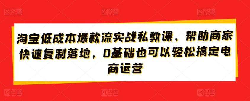 淘宝低成本爆款流实战私教课,帮助商家快速复制落地,0基础也可以轻松搞定电商运营-铜臭网