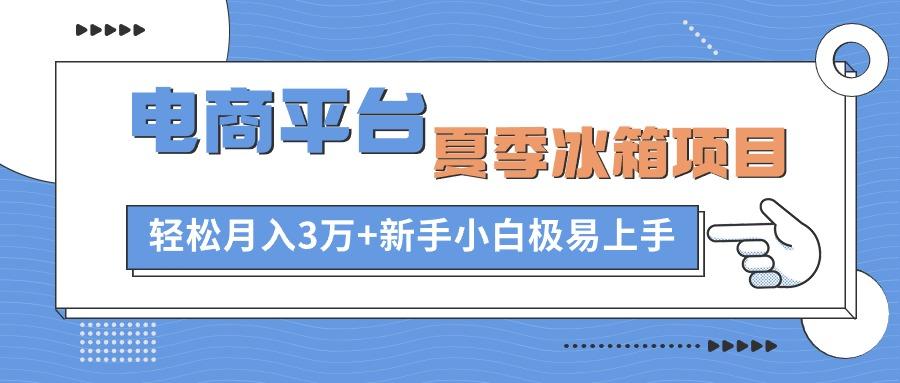 电商平台夏季冰箱项目，轻松月入3万+，新手小白极易上手-铜臭网
