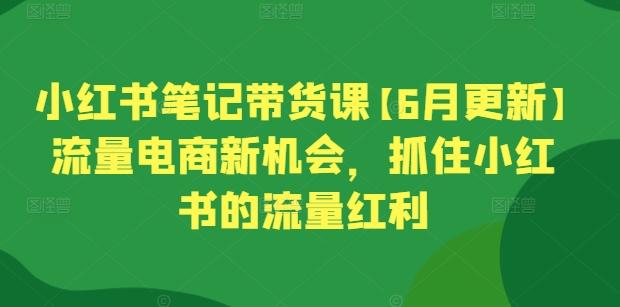 小红书笔记带货课【6月更新】流量电商新机会，抓住小红书的流量红利-铜臭网