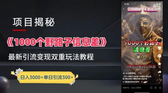 一千个野路子信息差最新玩法教程-变现+引流的玩法具体拆解【揭秘】-铜臭网