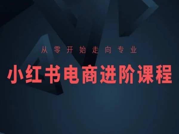 从零开始走向专业，小红书电商进阶课程-铜臭网
