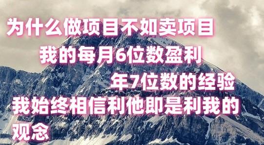 做项目不如卖项目，每月6位数盈利，年7位数经验-铜臭网