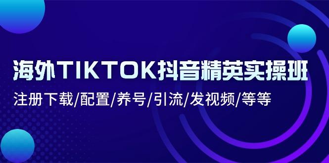 海外TIKTOK抖音精英实操班：注册下载/配置/养号/引流/发视频/等等-铜臭网