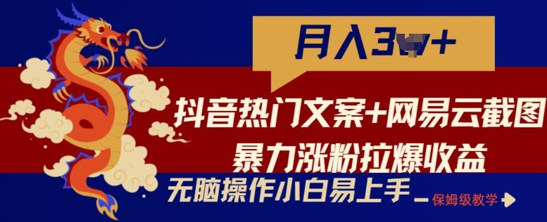 抖音热门文案+网易云截图暴力涨粉拉爆收益玩法，小白无脑操作，简单易上手【揭秘】-铜臭网