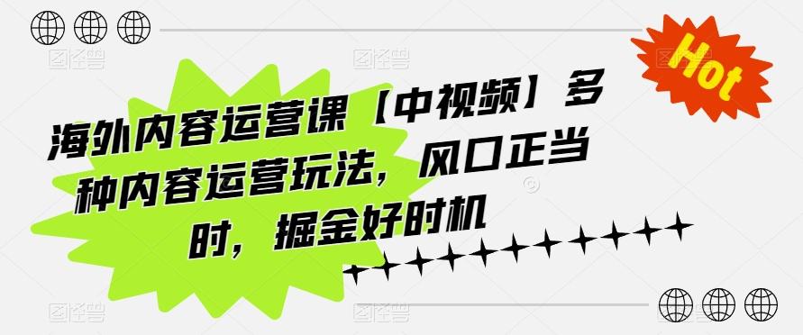 海外内容运营课【中视频】多种内容运营玩法，风口正当时，掘金好时机-铜臭网