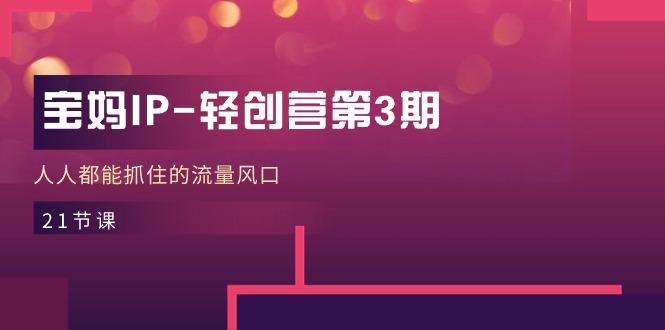 宝妈IP-轻创营第3期，人人都能抓住的流量风口(21节课-铜臭网