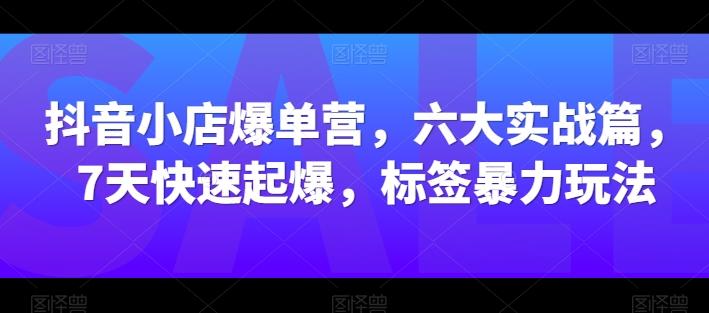 抖音小店爆单营，六大实战篇，7天快速起爆，标签暴力玩法-铜臭网