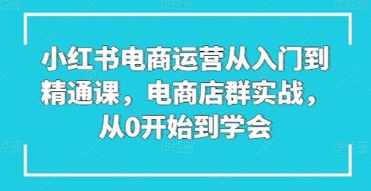 小红书电商运营从入门到精通课，电商店群实战，从0开始到学会-铜臭网