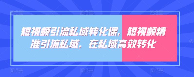 短视频引流私域转化课，短视频精准引流私域，在私域高效转化-铜臭网