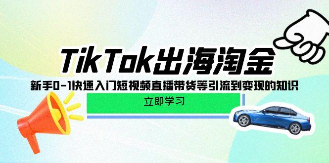 (10035期)TikTok-出海淘金，新手0-1快速入门短视频直播带货等引流到变现的知识-铜臭网
