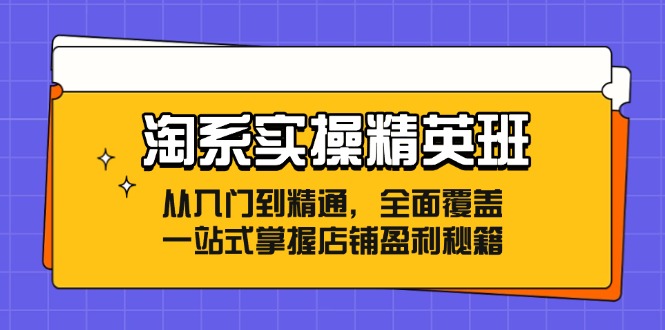 淘系实操精英班：从入门到精通，全面覆盖，一站式掌握店铺盈利秘籍-铜臭网