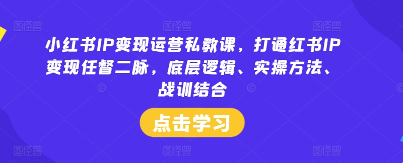 小红书IP变现运营私教课，打通红书IP变现任督二脉，底层逻辑、实操方法、战训结合-铜臭网