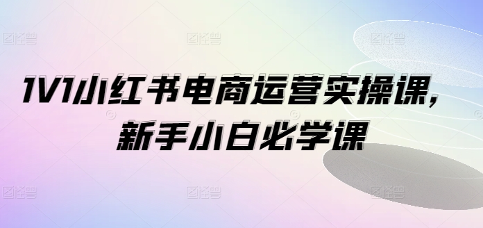 1V1小红书电商运营实操课，新手小白必学课-铜臭网