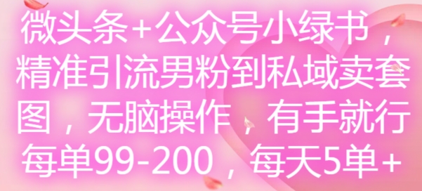 微头条+公众号小绿书,精准引流男粉到私域卖套图,无脑操作,有手就行,每单99-200,每天5单-铜臭网