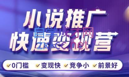 洲洲老师·小说推广快速变现营-铜臭网