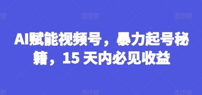 AI赋能视频号，暴力起号秘籍，15 天内必见收益【揭秘】-铜臭网