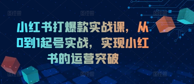 小红书打爆款实战课，从0到1起号实战，实现小红书的运营突破-铜臭网