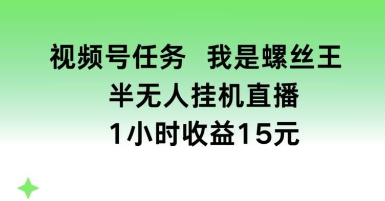 视频号任务，我是螺丝王， 半无人挂机1小时收益15元【揭秘】-铜臭网