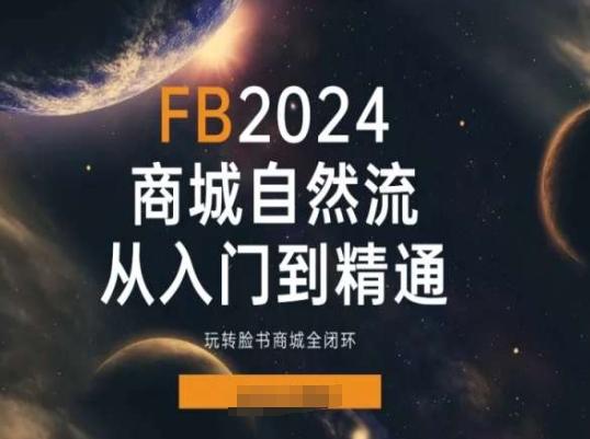 2024Faceboo商城自然流(从入门到精通)，玩转脸书商城全闭环-铜臭网