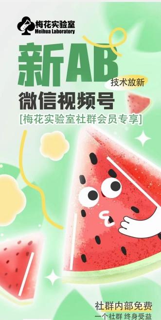 梅花实验室2024年AB技术视频号AB合成破解版-铜臭网