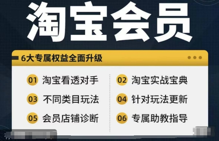 淘宝会员【淘宝所有课程，全面分析对手】，初级到高手全系实战宝典-铜臭网