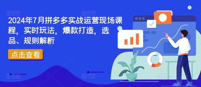 2024年7月拼多多实战运营现场课程，实时玩法，爆款打造，选品、规则解析-铜臭网