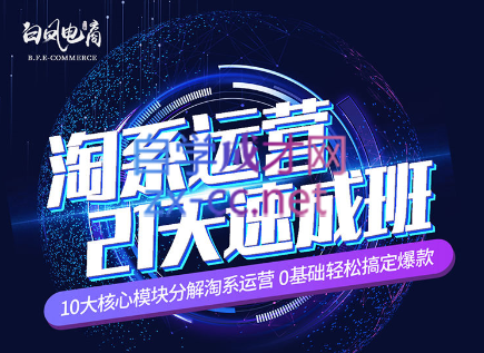 淘系运营21天速成班(更新24年6月)-铜臭网