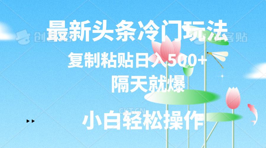 最新头条冷门玩法，隔天就爆，复制粘贴日入500+-铜臭网