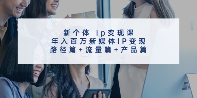 新个体ip变现课，年入百万新媒体IP变现，路径篇+流量篇+产品篇-铜臭网