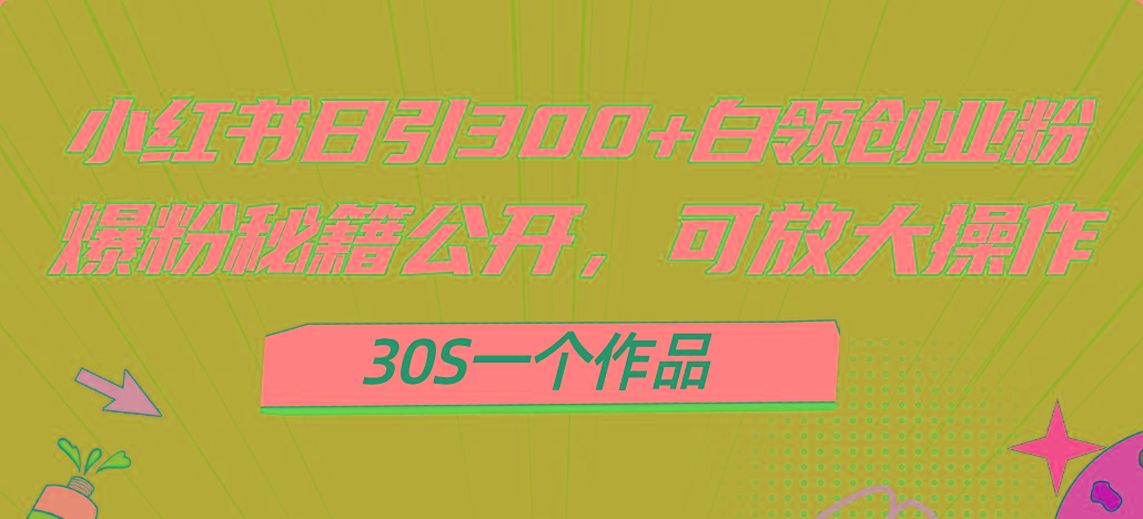 小红书日引300+高质白领创业粉，可放大操作，爆粉秘籍！30s一个作品-铜臭网