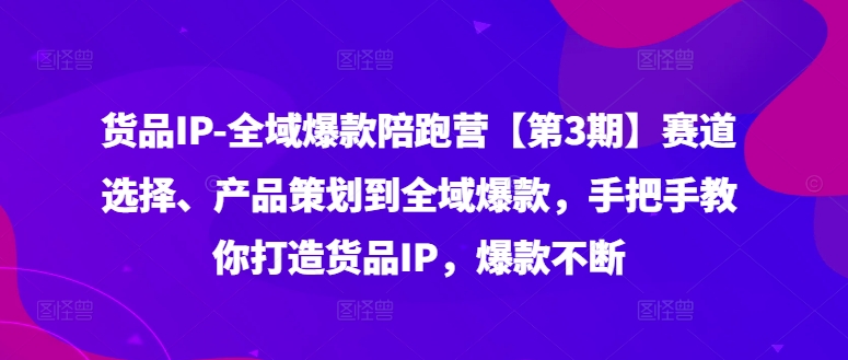 货品IP全域爆款陪跑营【第3期】赛道选择、产品策划到全域爆款，手把手教你打造货品IP，爆款不断-铜臭网