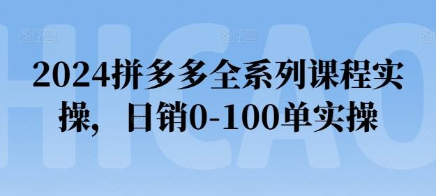 2024拼多多全系列课程实操，日销0-100单实操【必看】-铜臭网