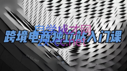 团长·跨境电商独立站入门课(2小时精华)-铜臭网