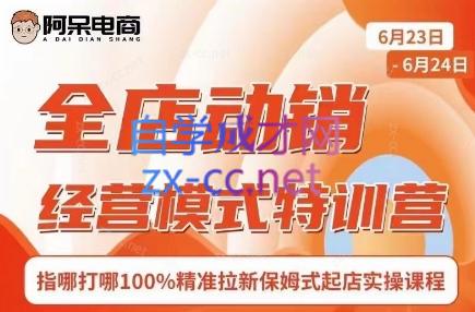阿呆电商·全店动销经营模式特训营(线下录音+思维导图)-铜臭网