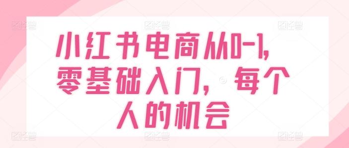 小红书电商从0-1，零基础入门，每个人的机会-铜臭网