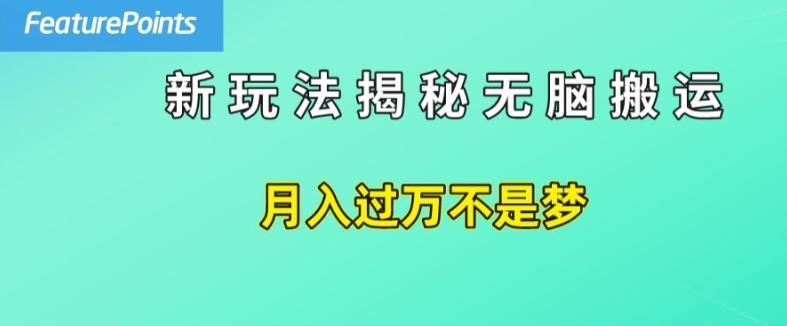 简单操作，每天50美元收入，搬运就是赚钱的秘诀【揭秘】-铜臭网