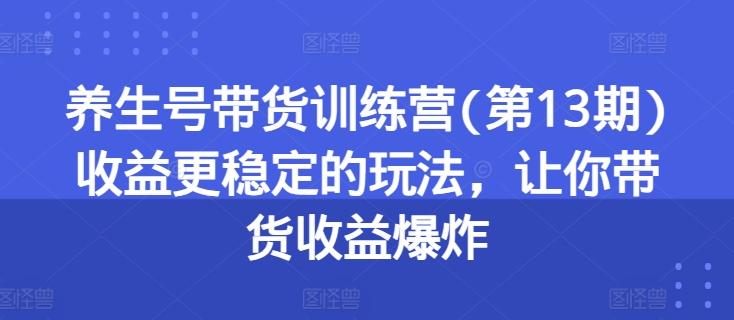 养生号带货训练营(第13期)收益更稳定的玩法，让你带货收益爆炸-铜臭网