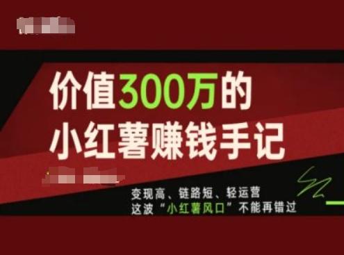 价值300万的小红书赚钱手记，变现高、链路短、轻运营，这波“小红薯风口”不能再错过-铜臭网