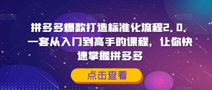 拼多多爆款打造标准化流程2.0，一套从入门到高手的课程，让你快速掌握拼多多-铜臭网