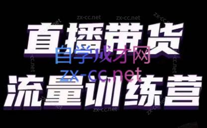 婉婉·直播带货课程系列合集(更新8月)-铜臭网