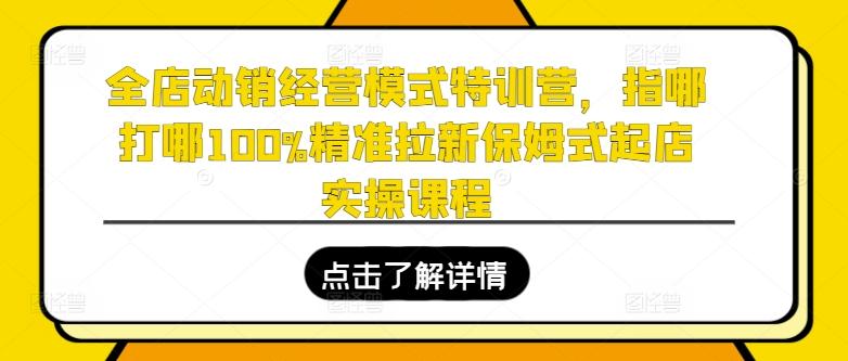 全店动销经营模式特训营，指哪打哪100%精准拉新保姆式起店实操课程-铜臭网