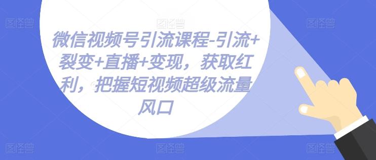 微信视频号引流课程-引流+裂变+直播+变现，获取红利，把握短视频超级流量风口-铜臭网