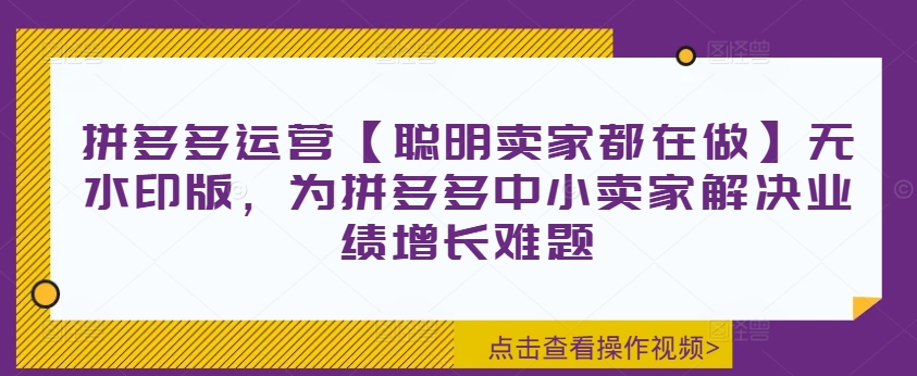 拼多多运营【聪明卖家都在做】无水印版，为拼多多中小卖家解决业绩增长难题-铜臭网