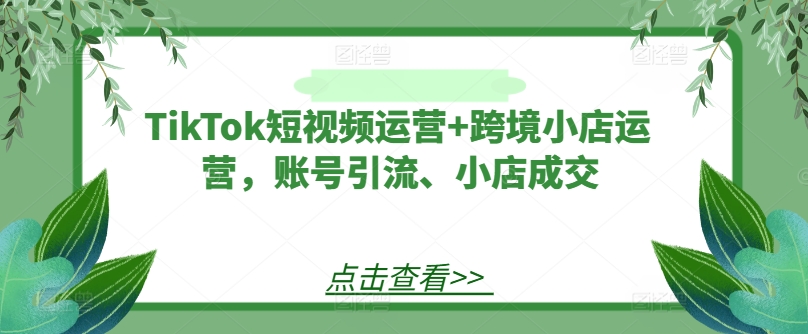 TikTok短视频运营+跨境小店运营，账号引流、小店成交-铜臭网