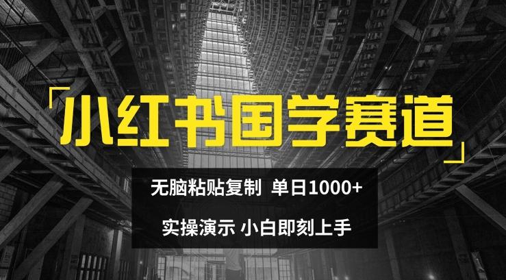 小红书国学赛道，无脑粘贴复制，单日1K，实操演示，小白即刻上手【揭秘】-铜臭网